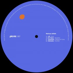 Various - PICNIC007 EP