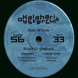 Ebbs N Flow - Bunch Of Amateurs