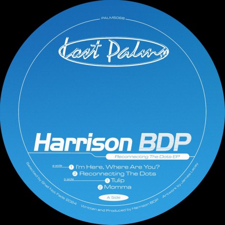 Harrison BDP - Connecting The Dots EP